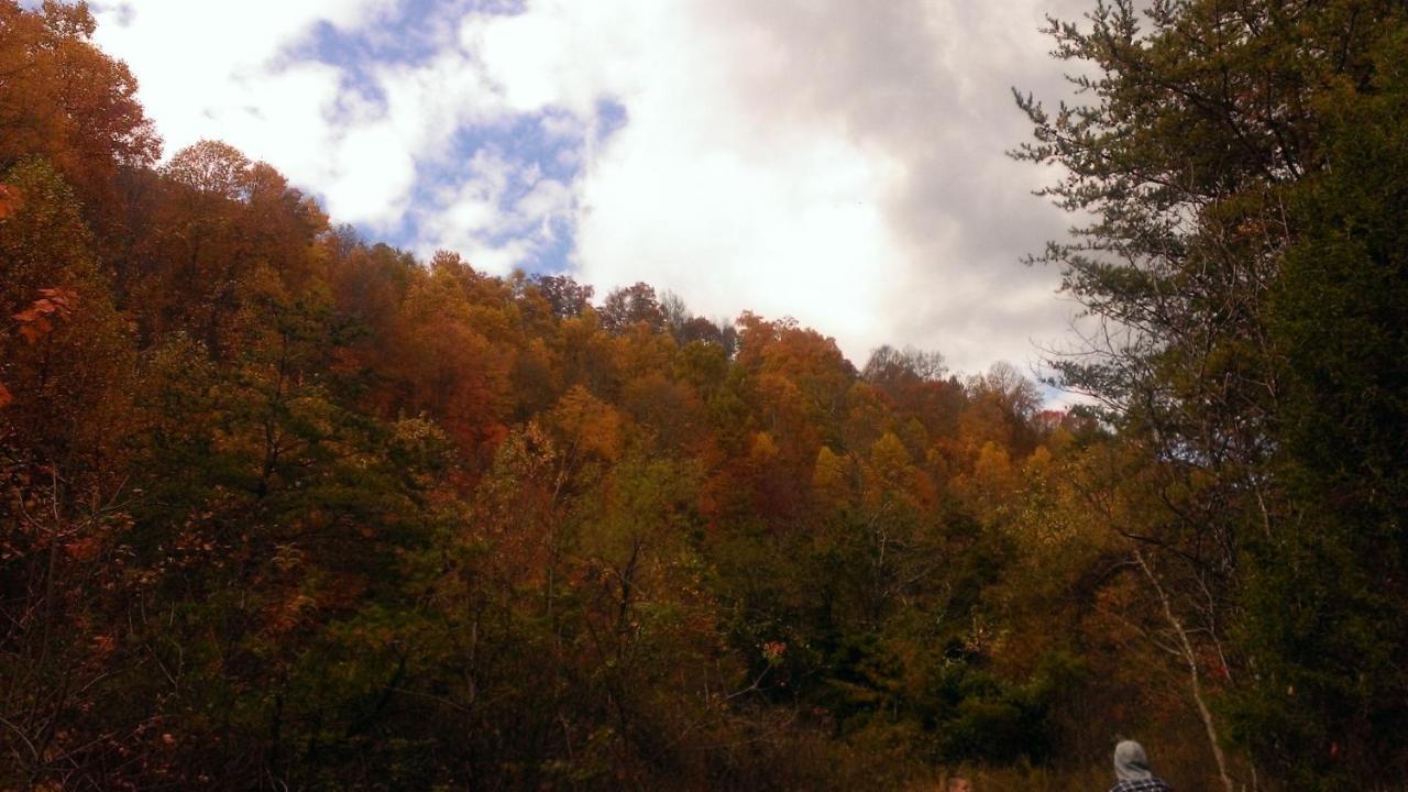 Pine Mountain Pineville