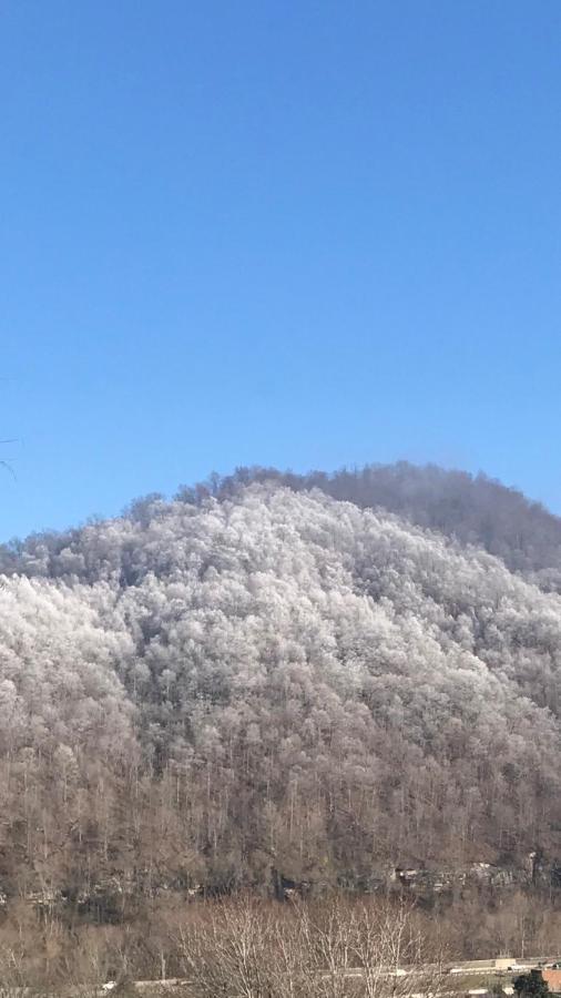 Pine Mountain * Pineville