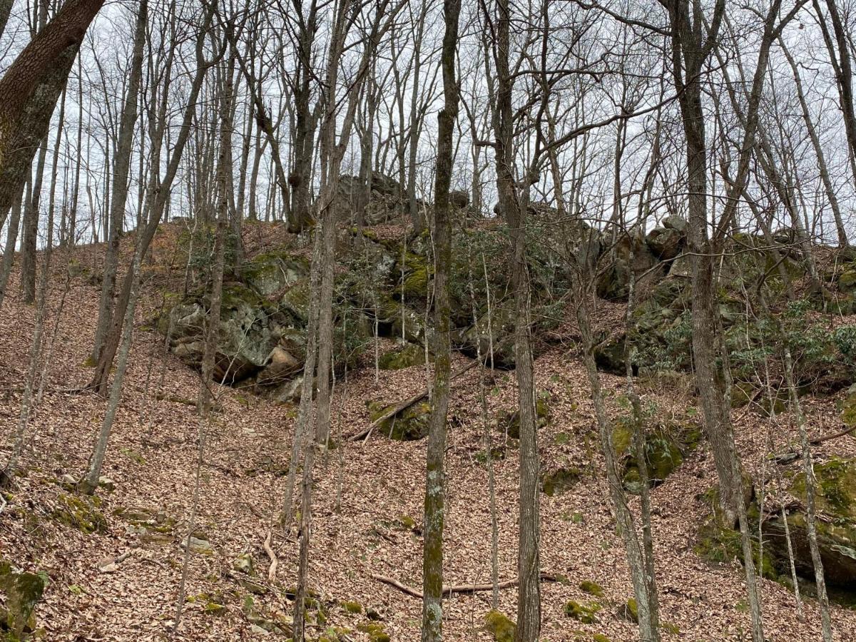 Pine Mountain Pineville