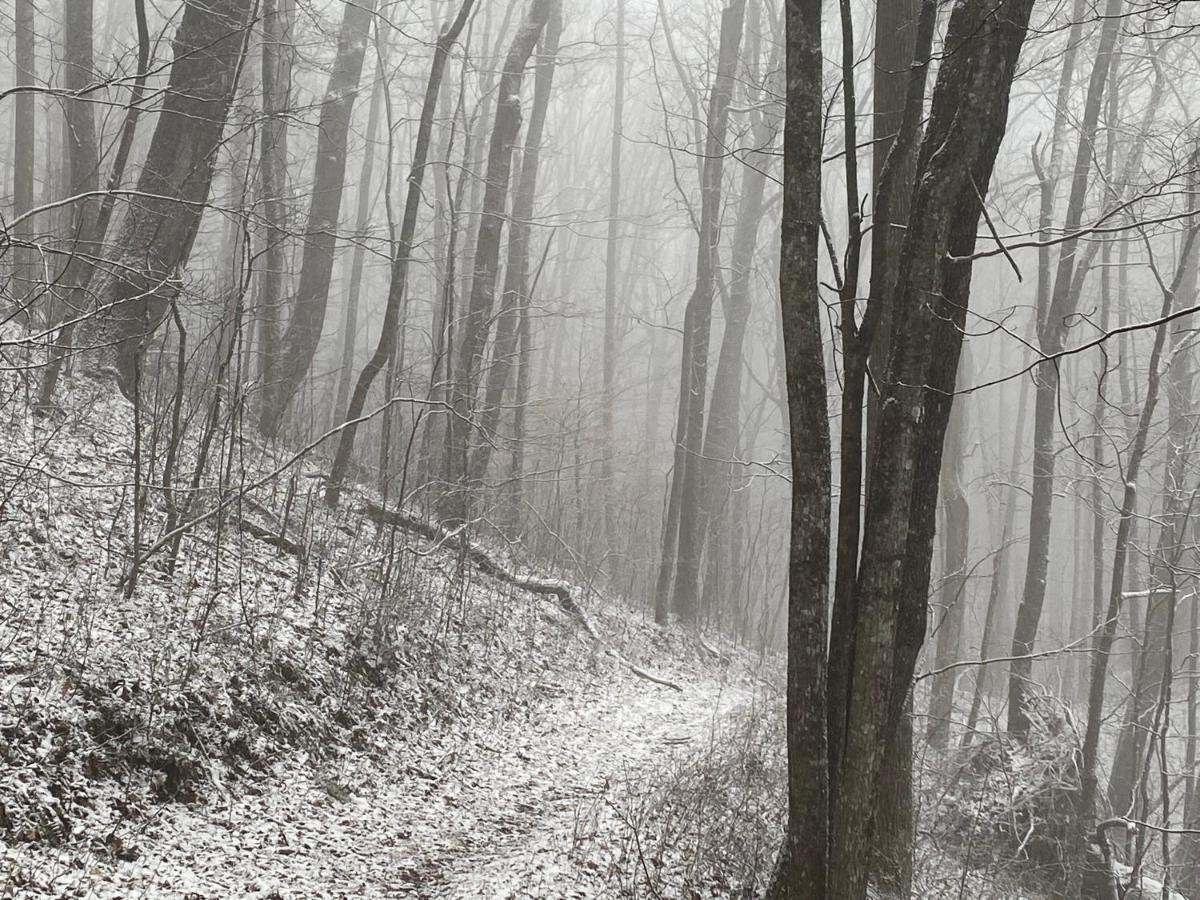 Pine Mountain * Pineville